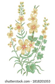 Botanical flower Motif,  Flourish spring floral greeting card design.