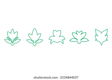 Botanical flower outline design set. Decorative floral icon