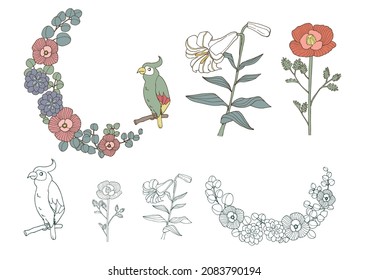 Botanical flower and parrot decoration illustration set