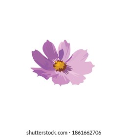 botanical flower vector full color illustration