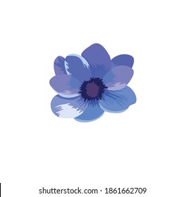 botanical flower vector full color illustration