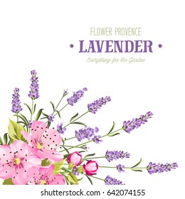 Botanical flowers garland. The sign Provence Garden over white background with rose and lavender. Spring flowers. Floral card on the white background. Vector illustration.