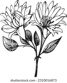 Botanical flowers graphic engraving ink retro plant clipart