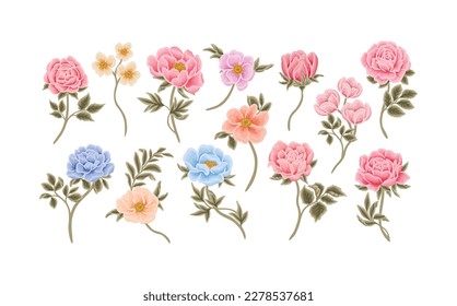 Kollektion von Vektorgrafik-Elementen aus botanischen Blumen, Rosen, Tulpen, Pony und Laubzweig