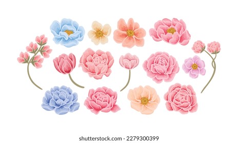 Botanical flowers, rose, tulip, peony, and branch vector illustration element collection