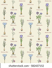 Botanical flowers. Vintage vector print. Seamless pattern.