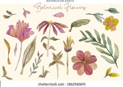 Botanical and Flowers Watercolor Set