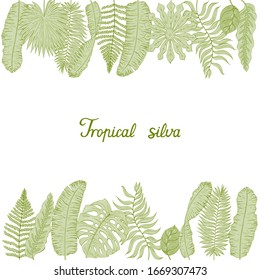 Botanical flyer template with tropical leaves: palm, banana, Monstera creeper, figs, fan palm, fern, arrowroot, calathea. With lettering Tropical Silva. Green jungle. For various design, print.