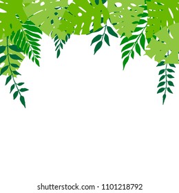 Botanical frame with fresh green tropical leaves for poster or card. Vector illustration for your graphic design.