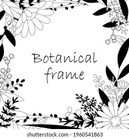 Botanical frame illustration. Invitation or greeting card template (white background, vector, cut out)