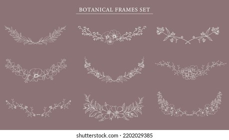 Marco botánico . Bordes florales dibujados a mano en línea blanca y divisor con ilustración vectorial de rama. Elegante hierba de bodas de línea, elegantes hojas para invitación salven la tarjeta de fecha.