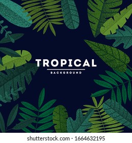 Botanical frame with trendy summer tropical leaves. Vector illustration