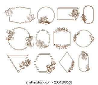 Botanical framework. Vector illustration vintage style. Logo design, wedding