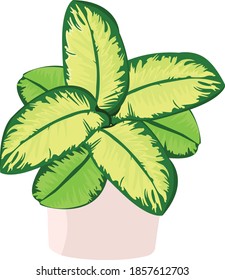 botanical full color illustration design