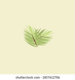 botanical full color illustration design