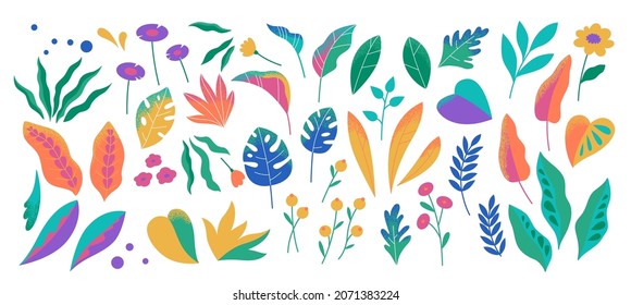 Botanical futuristic leaves and flowers isolated on a white background. Abstract modern foliage collection.  Vector illustrations in flat style.