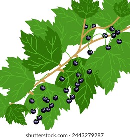 Botanical garden, delicious ripe berries, vector illustration.