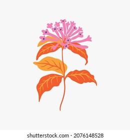 Botanical garden floral plants. Colorful flat vector illustration. Abstract contemporary modern trendy vector illustration. Perfect for posters, instagram posts, stickers.