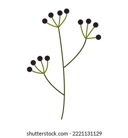 Botanical garden flower simple vector illustration on white background for web banners mobile app social media