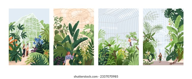 Botanical garden, green leaves, foliage plants. People walking in natural greenhouses with lush vegetation, cards backgrounds set. Greenery, orangery, nature in glasshouses. Flat vector illustrations