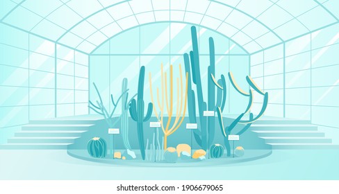 Botanical Garden or Greenhouse with Blossom Cactus of Different Shapes. Exhibition Collection of Grow Spiky, Wild, Tropical and Mexican Plant Inside Glass Building. Modern Flat Vector Illustration