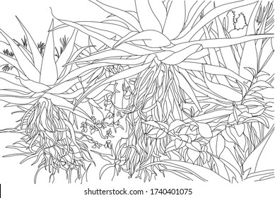 Botanical garden illustration. Hand drawn ink line sketch European old town London, historical park with plants, tropical flowers. Ink drawing of  perspective view. Travel postcard