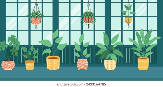 Botanical garden with plants and macrame hangers pots. Vector illustration.