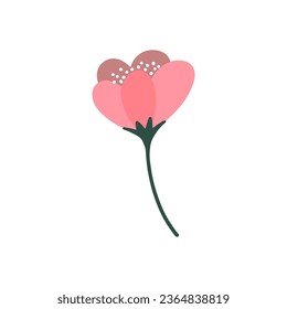 Botanical gerbera daisy, wedding flower. Delicate elegant floral gerbera daisy element. Hand drawn gerbera daisy flower for wedding invitations, greeting cards, blogs. Use gerbera daisy in design