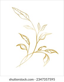 Botanical golden illustration of a leaves branch for wedding invitation and cards, logo design, web, social media and posters template. Elegant minimal style floral vector isolated.