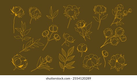 botanical golden line art of cotton flowers and leaves on a green background. Set of cotton and twig.