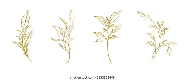 Conjunto botánico de ramas doradas. Hojas y herbales dibujadas a mano, invitación de boda y tarjetas, diseño de logo y plantilla de afiches. Conjunto aislado de vectores florales de estilo minimalista elegante