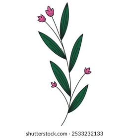 Botanical graphic assets. Botanical design asset on transparent background