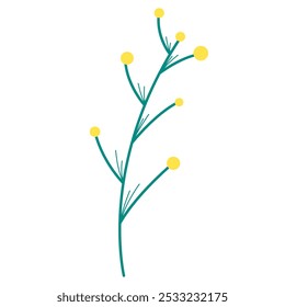 Activos gráficos botánicos. Activo de diseño botánico sobre fondo transparente