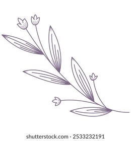 Botanische grafische Objekte. Botanisches Design auf transparentem Hintergrund