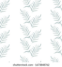 Botanical graphic pattern of mint fern leaves on white background. Tropical striped fern grass herb seamless fabric background.