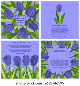 Une template graphique botanique avec des illustrations rectangulaires de diverses tulipes colorées avec des feuilles vertes et des motifs de texte lorem ipsum. Idéal pour créer des cartes postales, des invitations et des brochures