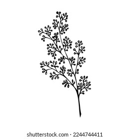 Botanical graphics. Lush twig with flowers decor vector. Decorative flower for bouquets, twig silhouette. Clip art herbarium.