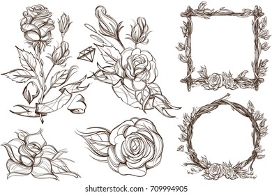 Botanical graphics. Roses. A set of illustrations with blossoming flowers and beautiful frames made of branches.