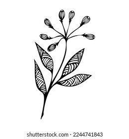 Botanical graphics. Twig decor vector. Decorative flower clipart.