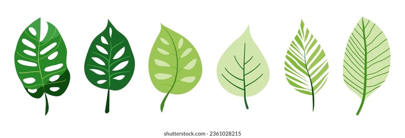 Botanical green set, vivid Hawaiian, tropical, jungle leaves collection. Greenery foliage plant, home arrangement, romantic floral design. Garden, office, patio decor. Nature, environment illustration