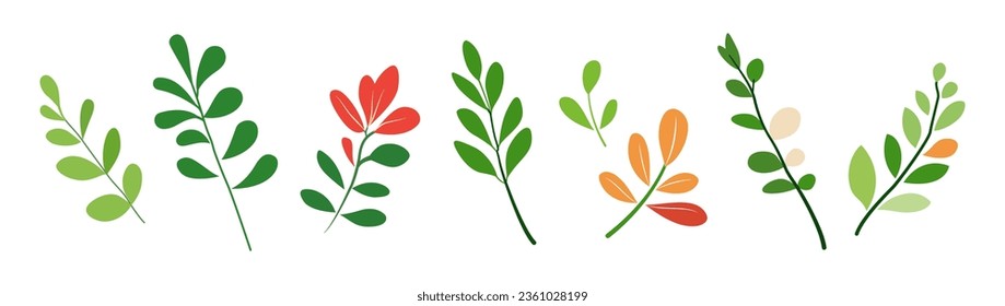 Botanical green set, vivid tree branch, park, garden leaves collection. Greenery foliage plant, home arrangement, romantic floral design. Garden, office, patio decor. Nature, environment illustration