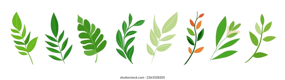 Botanical green set, vivid tree branch, park, garden leaves collection. Greenery foliage plant, home arrangement, romantic floral design. Garden, office, patio decor. Nature, environment illustration