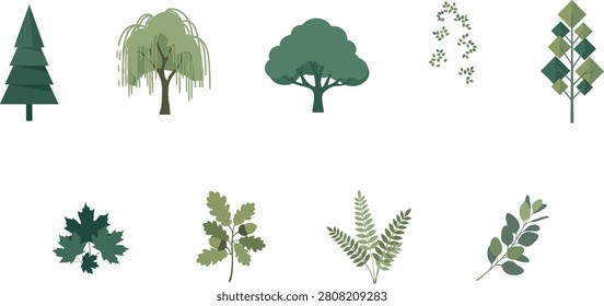 Botanical Green Trees and Forest Leaves Icon Set with Pine Weeping Willow Maple Oak Fern and Eucalyptus Vector Illustrations.eps