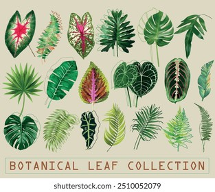 Botanical Green tropical leaf set collection 