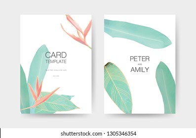 Botanical and Greenery greeting and Wedding invitation cards template.Trendy Tropical Leaves Vector Design in pastel vintage theme. Design for summer and spring season.