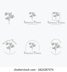 botanical hand draw logo design vector 