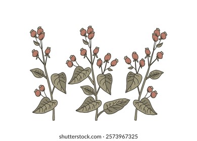 Botanical hand drawn branches with leaves and berries isolated on white background vector illustration. Graphic design for Print Brand Book Greeting Card Product Poster Flayer Invitation Event Fashion