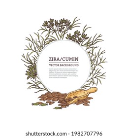 Botanical hand drawn circle decorative frame with zira or cumin spicy aromatic plant, engraving style vector illustration isolated on white background.
