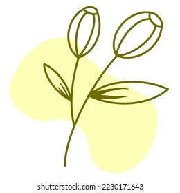 Vector de decoración de elementos dibujados a mano botánica