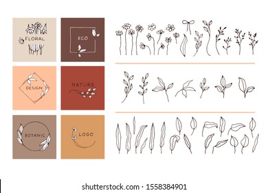 Botanical hand drawn elements. Logo floral templates. Flowers, leaves for cards, invitations design.